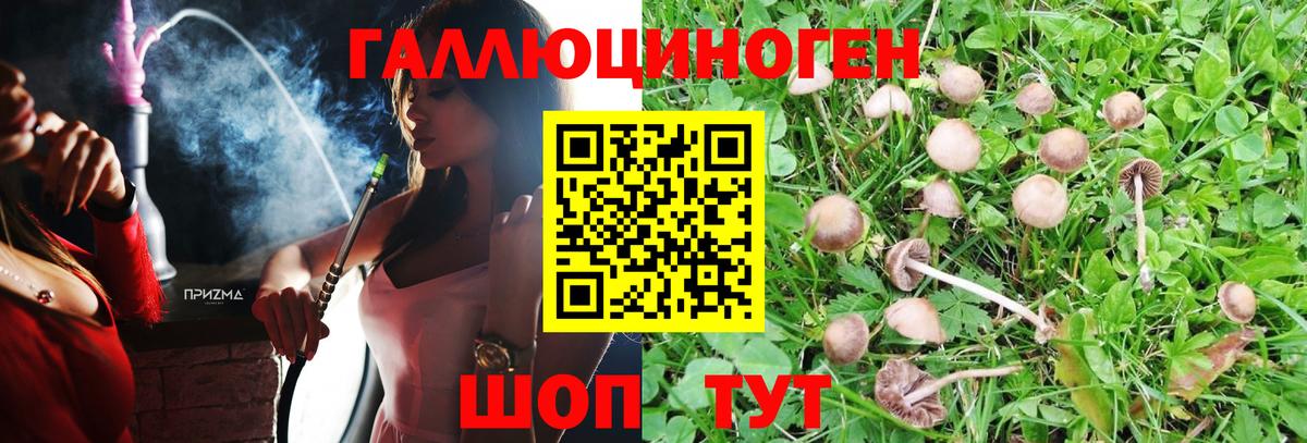 Псилоцибиновые грибы GOLDEN TEACHER  Вход с VPN  Псилоцибиновые грибы Magic Shrooms  Коломна 